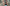 Promotiebanner
