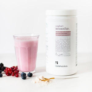 Yoghurt Smoothie 510g